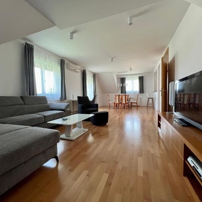 Large living room with dining area.