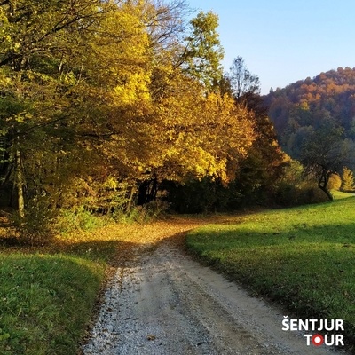 Na poti z Guzajem je tematska pohodniška pot, ki nas popelje po čudoviti kozjanski pokrajini.