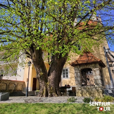 Na vrtu raste znamenita Ipavčeva lipa, poleg stoji Plečnikov vodnjak iz leta 1938.