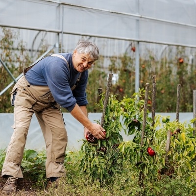 Na pikniku bodo predstavili idejo celovitega veganstva in korake k bolj zdravemu prehranjevanju.
