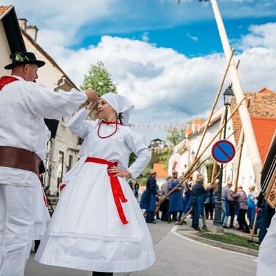 Postavitev mlaja na tradicionalni način z bogatim kulturnim programom.