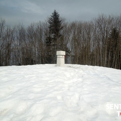Veliki Javornik is the highest peak of Bohor and the highest peak of the Kozjansko region.