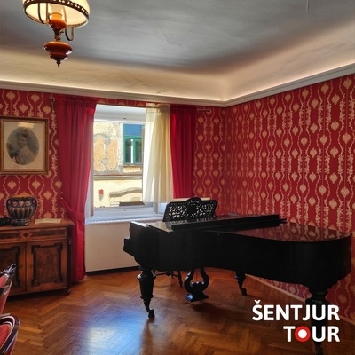 In Šentjur, you can visit museum collections.