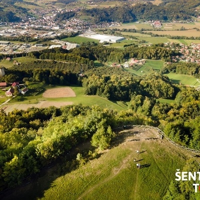 The trail from Šentjur to Rifnik leads partly along the road and partly through the forest.