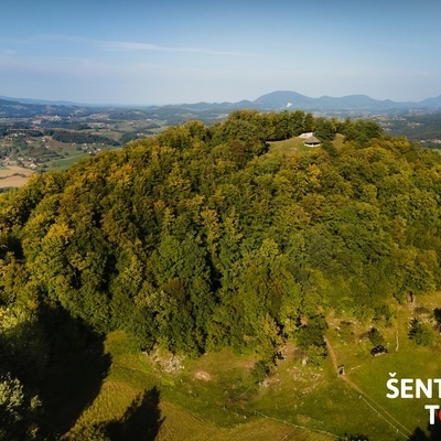 If you climb to the top from Jakob or from Gorica pri Slivnici, you will cross a pasture just below the hilltop of Rifnik.