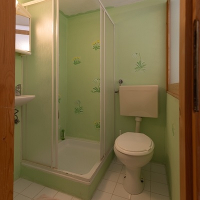 Manjša kopalnica ima umivalnik, tuš in wc školjko.