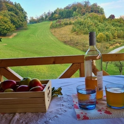 Za Kozjansko so značilna jabolka s travniških sadovnjakov.