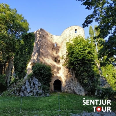 Mogočne ruševine gradu Planina pričajo o pomenu in vlogi gradu na Kozjanskem.