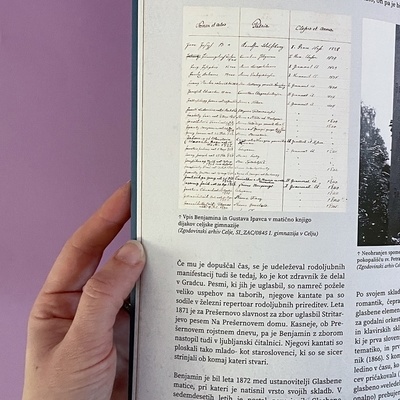 Na 48 straneh spoznaj javno in zasebno življenje Franca, Benjamina, Gustava in Josipa Ipavca.