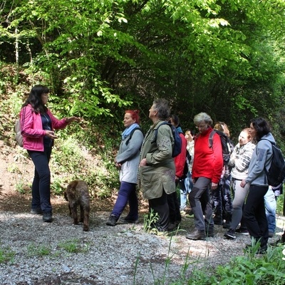 Experience the megaliths of Žusem on a guided tour with Andreja Križan Lipnik.