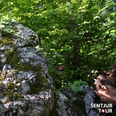 Many who visit the megaliths can feel their effects.