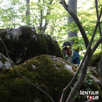 Each group of megaliths has its own energetic role.
