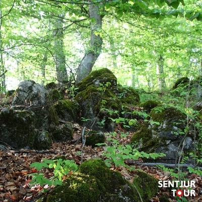 Most of the megaliths in Žusem still fulfill their purpose today—they cleanse, heal, offer protection, and help regulate inner mental processes.