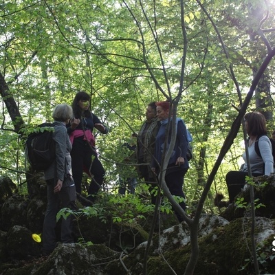 The immersive guided tour, complemented by meditation at energy points, lasts approximately two hours.